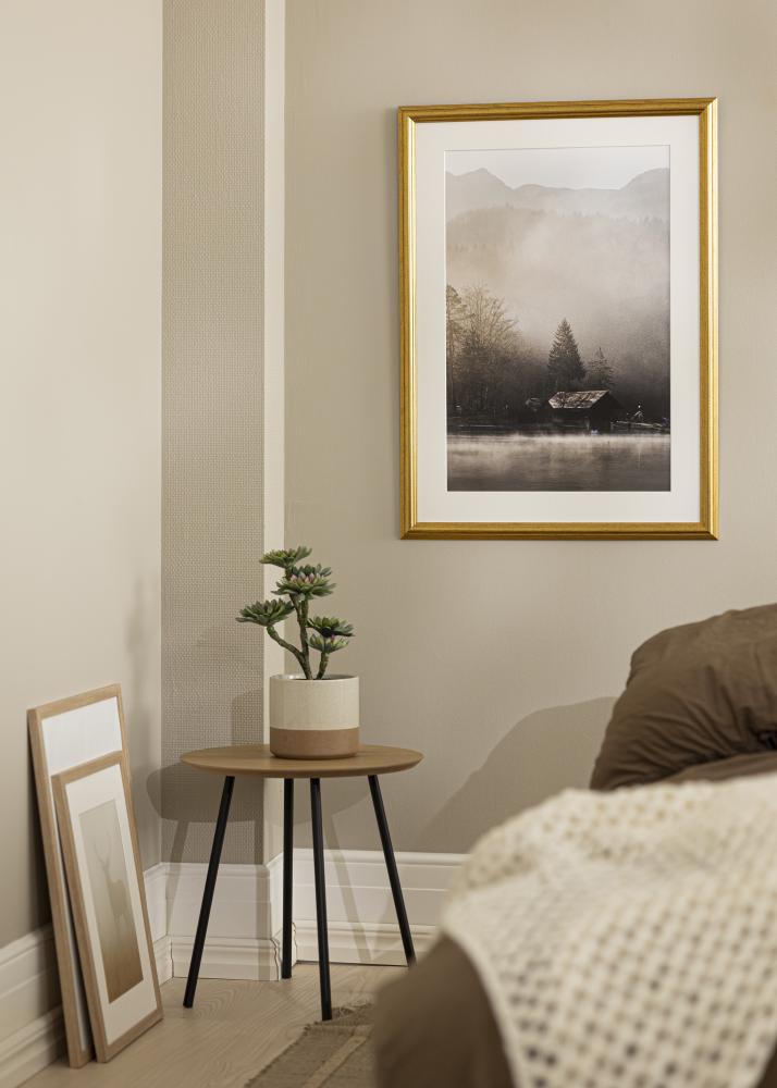 Jämtlands Ramfabrik Rahmen Västkusten Acrylglas Gold 8x10 inches (20,32x25,4 cm)