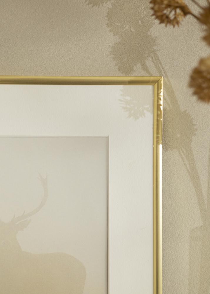 Ram med passepartou Rahmen New Lifestyle Gold 30x30 cm - Passepartout Weiß 19x19 cm