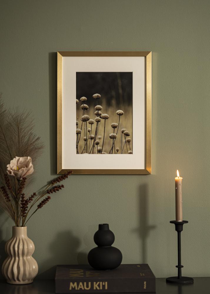 Jämtlands Ramfabrik Rahmen Selection Acrylglas Gold 24x30 cm