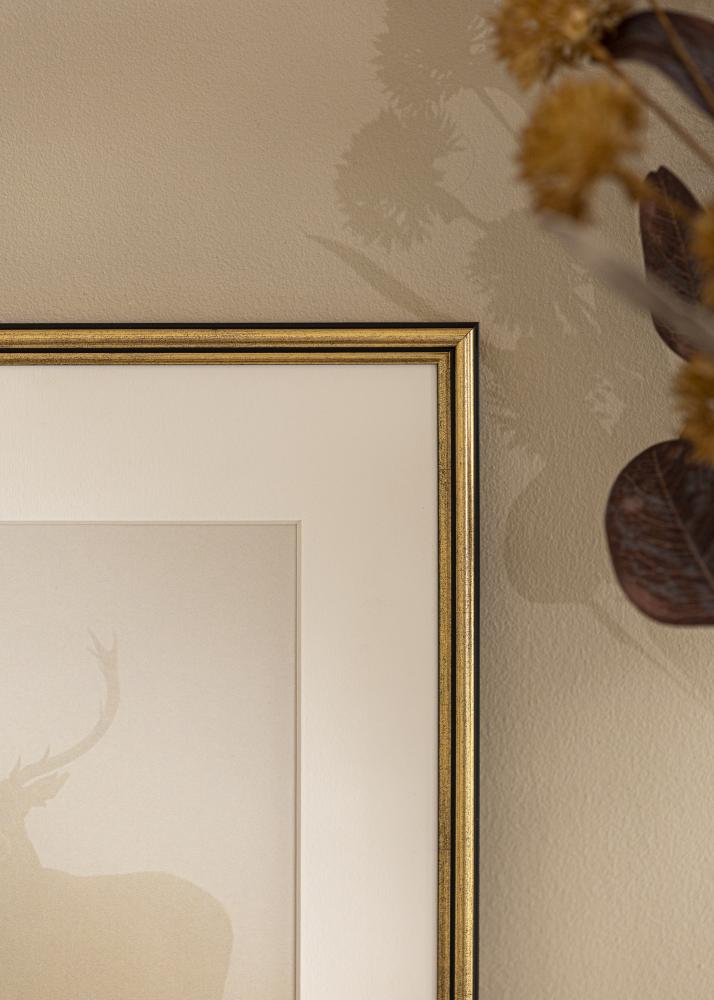 Galleri 1 Rahmen Horndal Acrylglas Gold 7x10 cm