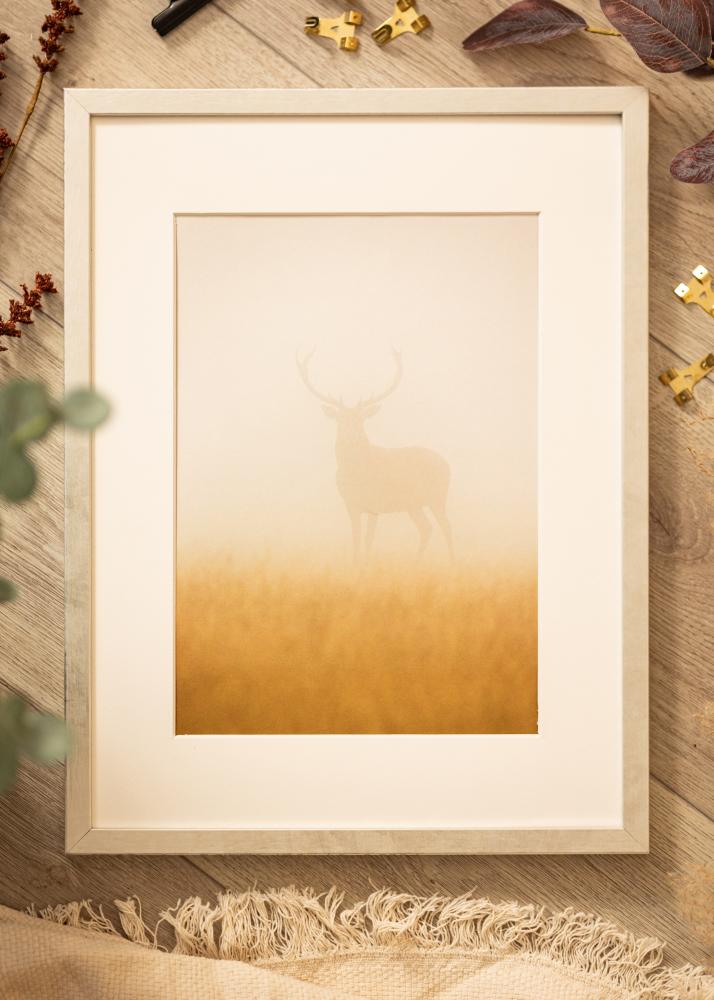 Ram med passepartou Rahmen Ares Silber 30x40 cm - Passepartout Weiß 22x32 cm