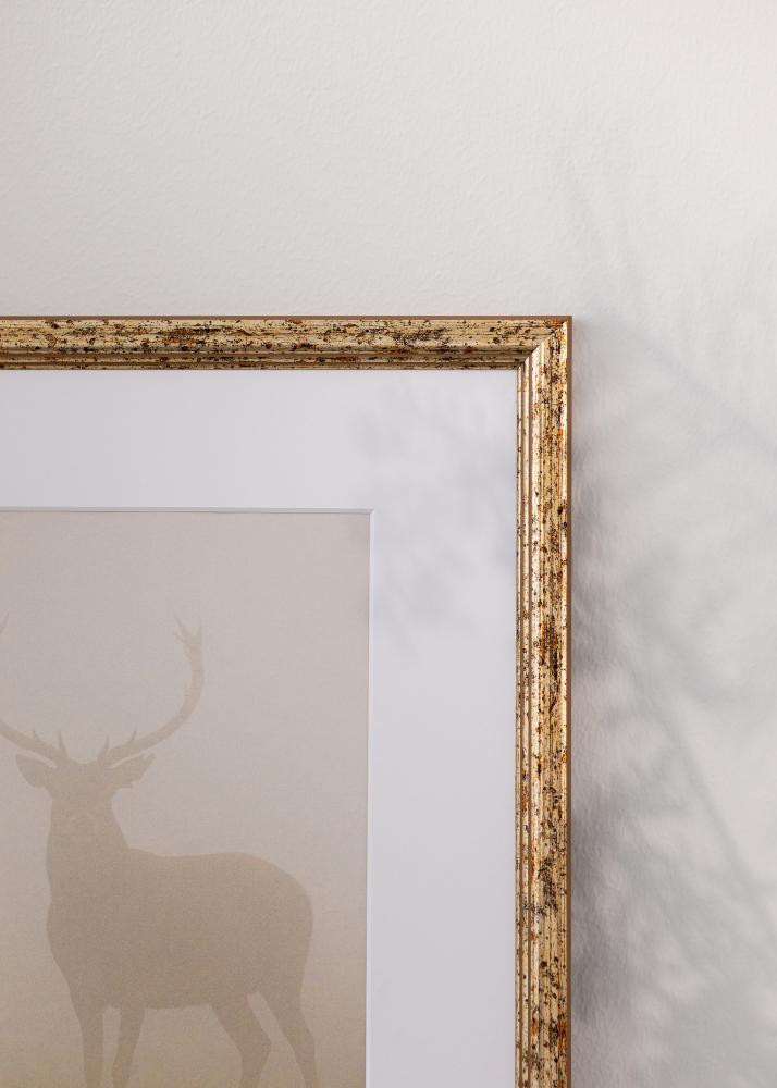 Jämtlands Ramfabrik Rahmen Claudia Acrylglas Silber 59,4x84,1 cm (A1)