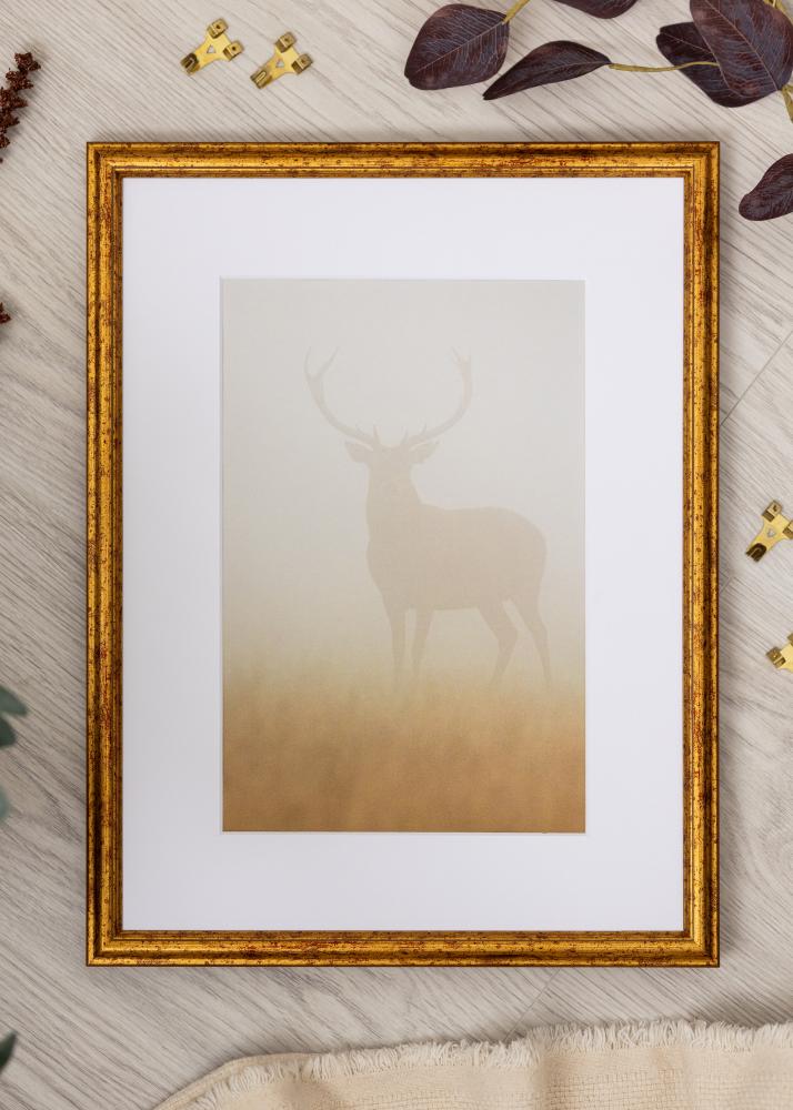 Jämtlands Ramfabrik Rahmen Claudia Acrylglas Gold 50x70 cm.