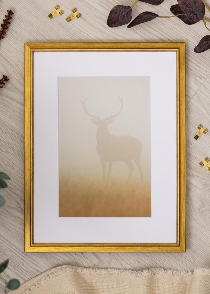 Jämtlands Ramfabrik Rahmen Marisa Acrylglas Gold 40x50 cm