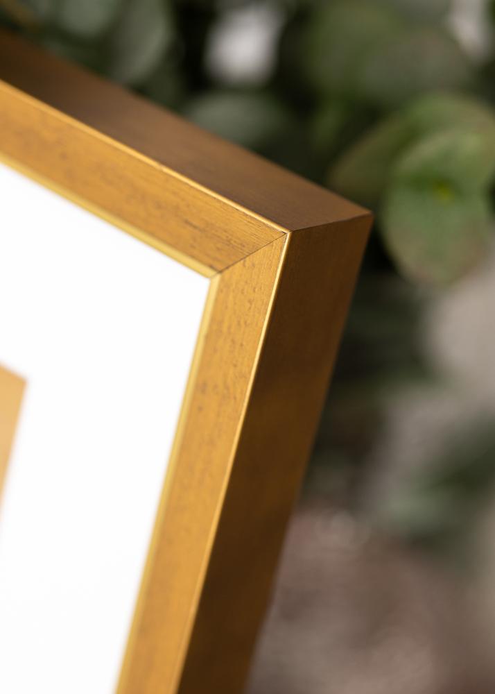 Jämtlands Ramfabrik Rahmen Brema Acrylglas Gold 21x29,7 cm (A4)