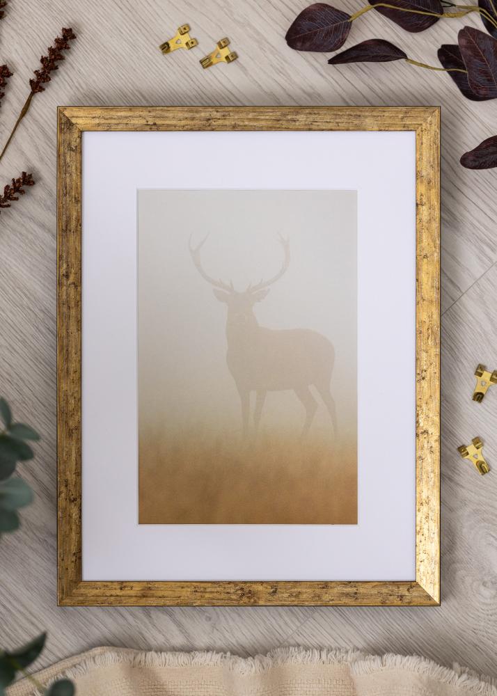 Jämtlands Ramfabrik Rahmen Dune Acrylglas Gold 40x50 cm