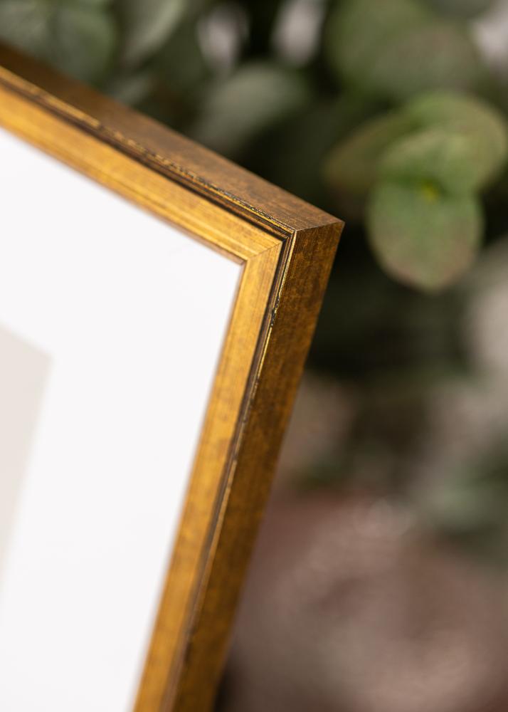 Jämtlands Ramfabrik Rahmen Ringa Acrylglas Gold 59,4x84,1 cm (A1)