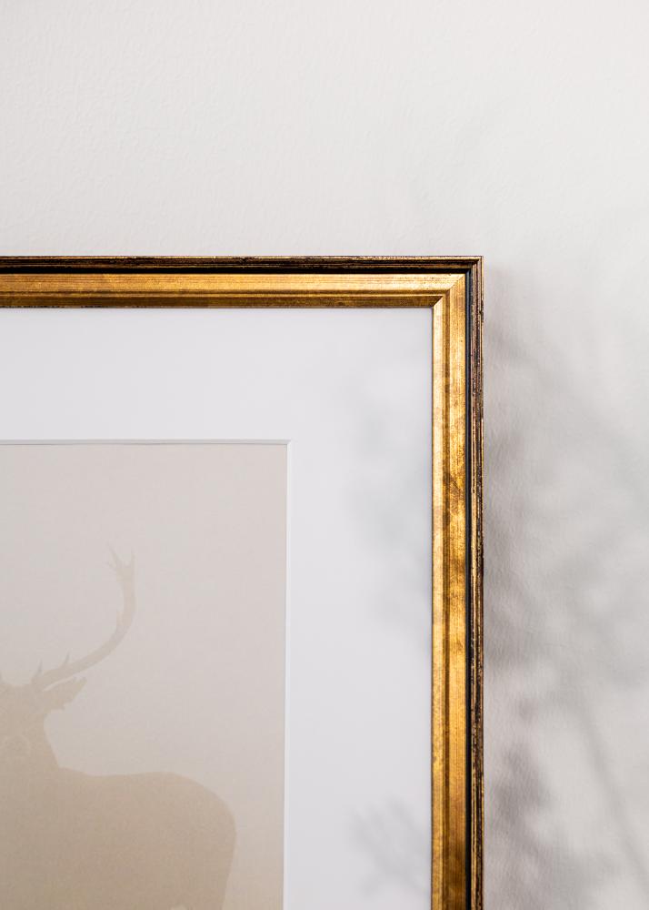 Jämtlands Ramfabrik Rahmen Ringa Acrylglas Gold 59,4x84,1 cm (A1)