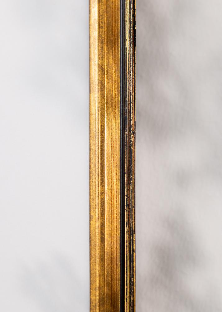 Jämtlands Ramfabrik Rahmen Ringa Acrylglas Gold 59,4x84,1 cm (A1)