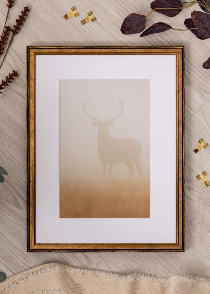 Jämtlands Ramfabrik Rahmen Ringa Acrylglas Gold 59,4x84,1 cm (A1)