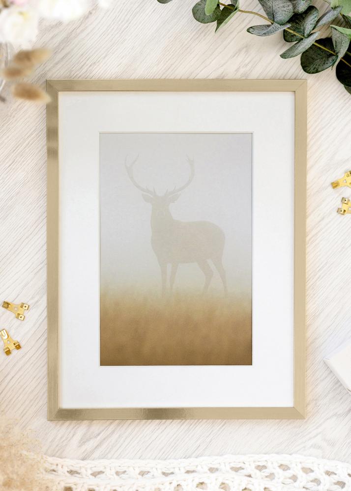 BGA Rahmen Trendy Acrylglas Gold 21x29,7 cm (A4)