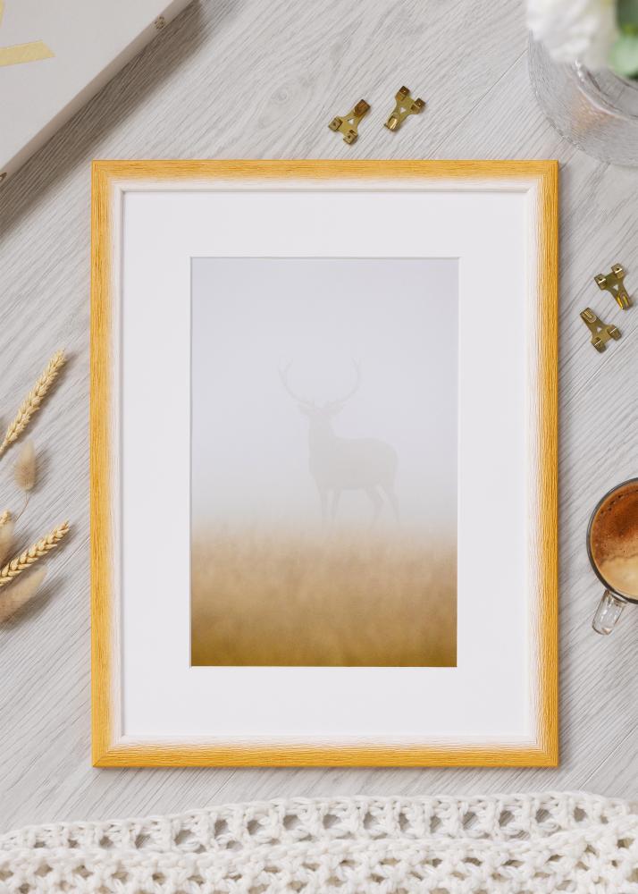 Jämtlands Ramfabrik Rahmen Cornwall Acrylglas Gold 50x50 cm