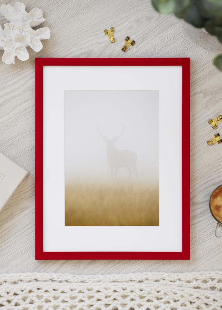 Jämtlands Ramfabrik Rahmen Kent Acrylglas Rot 29,7x42 cm (A3)