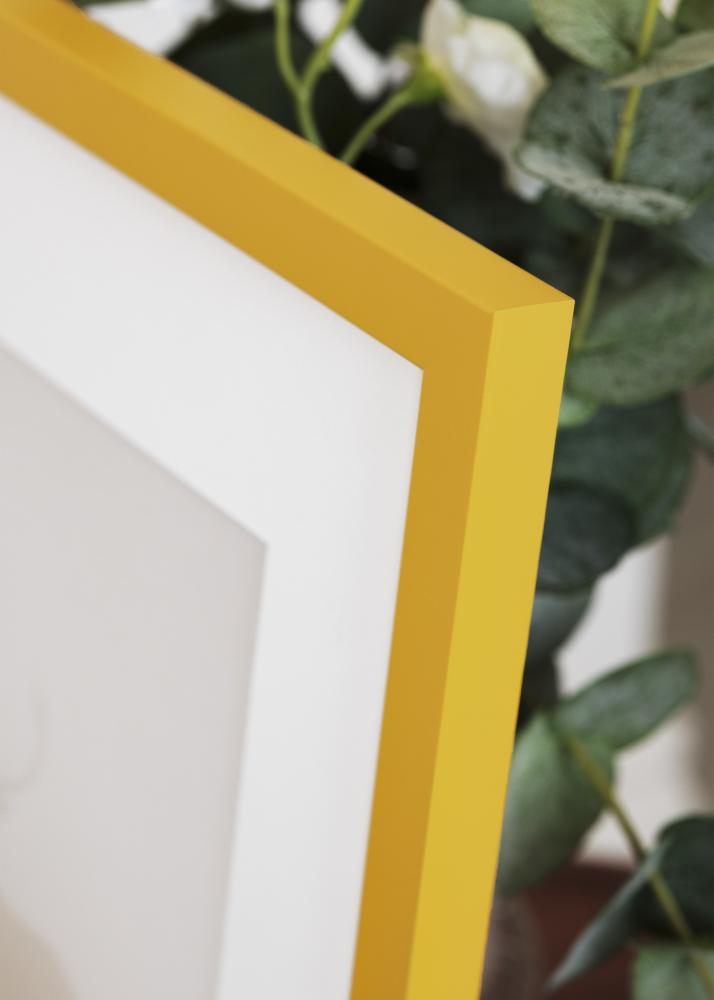 Jämtlands Ramfabrik Rahmen Kent Acrylglas Gold 21x29,7 cm (A4)