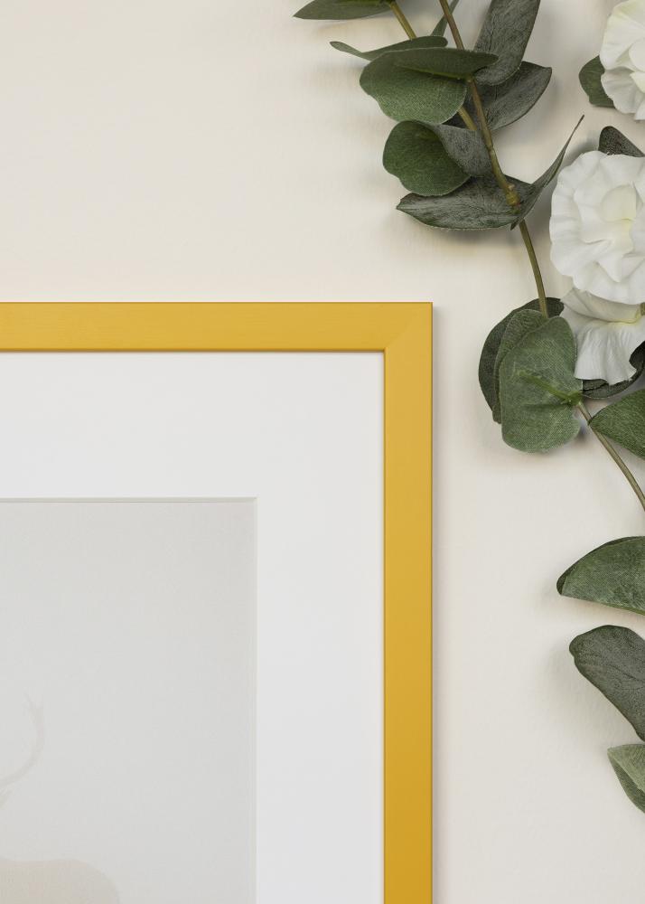 Jämtlands Ramfabrik Rahmen Kent Acrylglas Gold 21x29,7 cm (A4)
