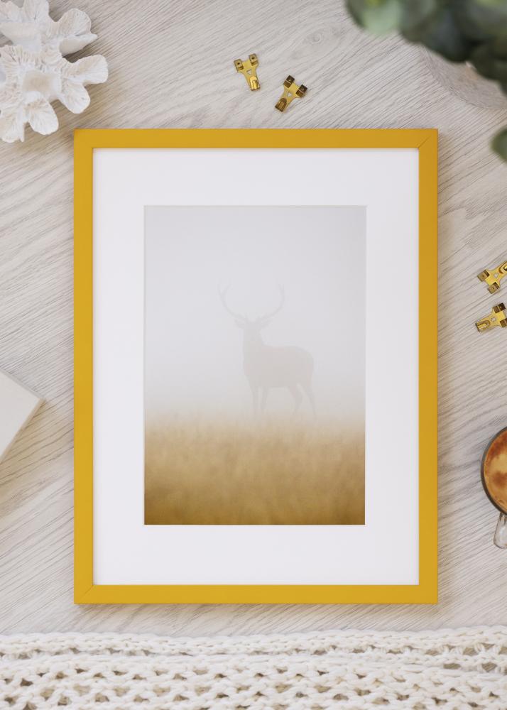 Jämtlands Ramfabrik Rahmen Kent Acrylglas Gold 21x29,7 cm (A4)