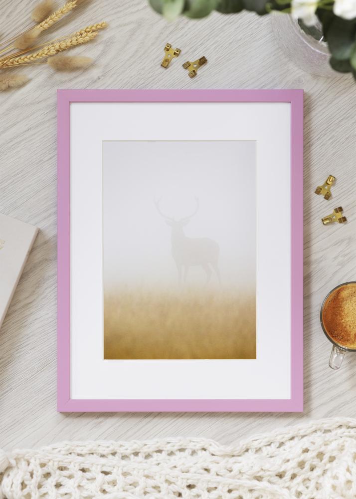 Jämtlands Ramfabrik Rahmen Kent Acrylglas Rosa 21x29,7 cm (A4)