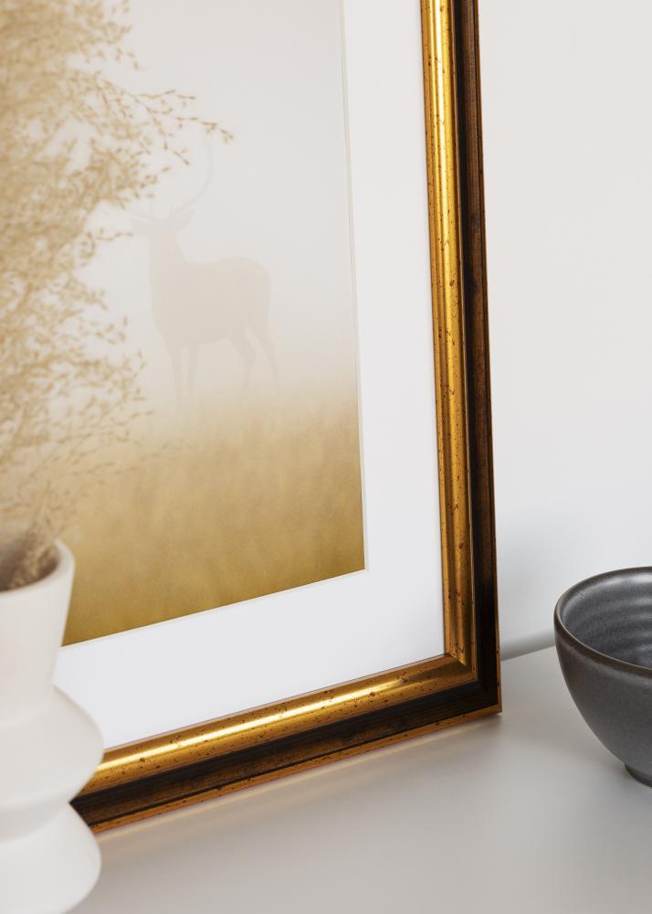 Jämtlands Ramfabrik Rahmen Aberystwyth Acrylglas Gold 21x29,7 cm (A4)