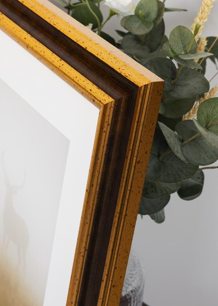 Jämtlands Ramfabrik Rahmen Aberystwyth Acrylglas Gold 21x29,7 cm (A4)