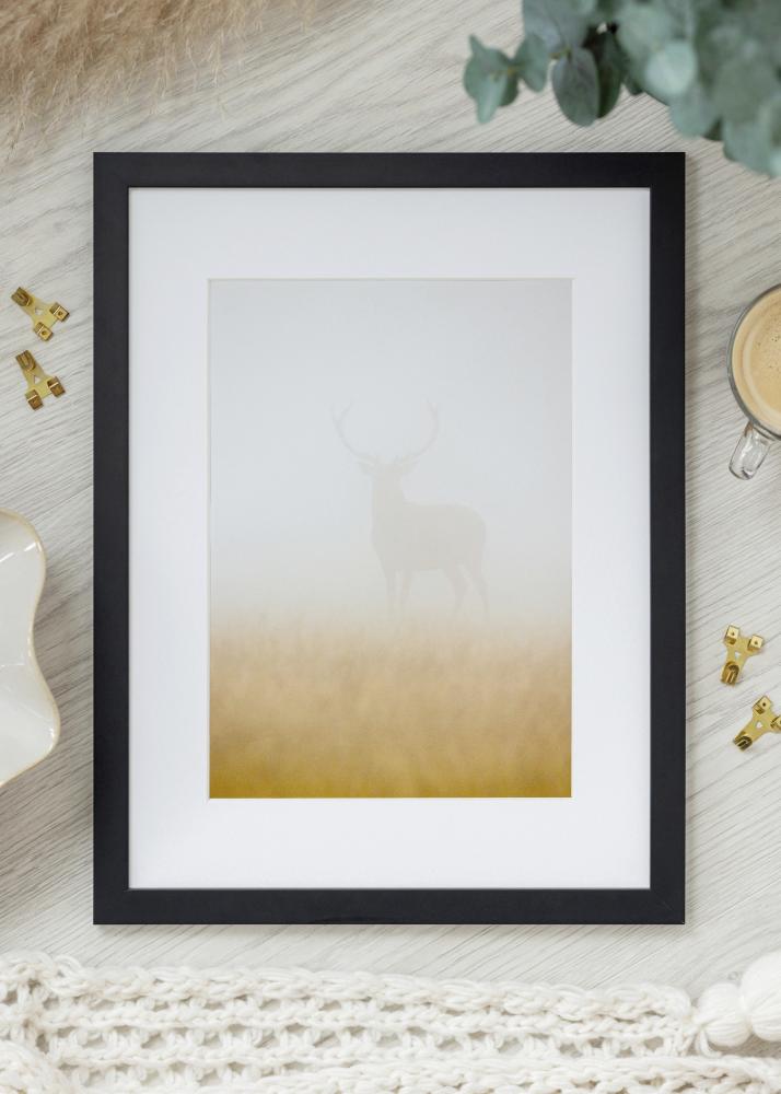 Jämtlands Ramfabrik Rahmen Jämtland Acrylglas Schwarz 27x48 cm