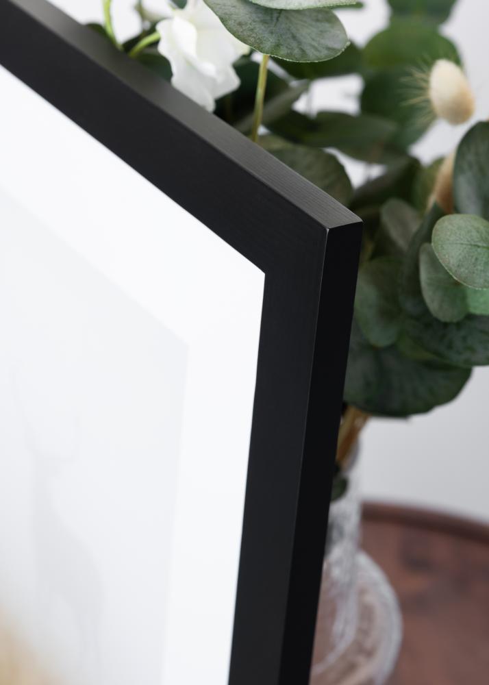 BGA BGA Select Wide Acrylglas Schwarz 59,4x84,1 cm (A1)