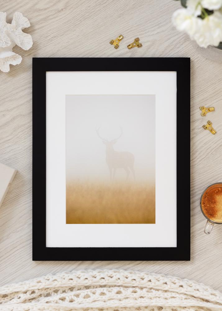 BGA BGA Select Wide Acrylglas Schwarz 59,4x84,1 cm (A1)