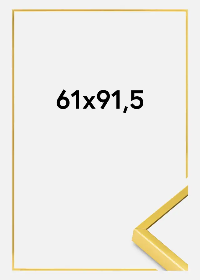 BGA Aluminiumrahmen Acrylglas Gold 61x91,5 cm