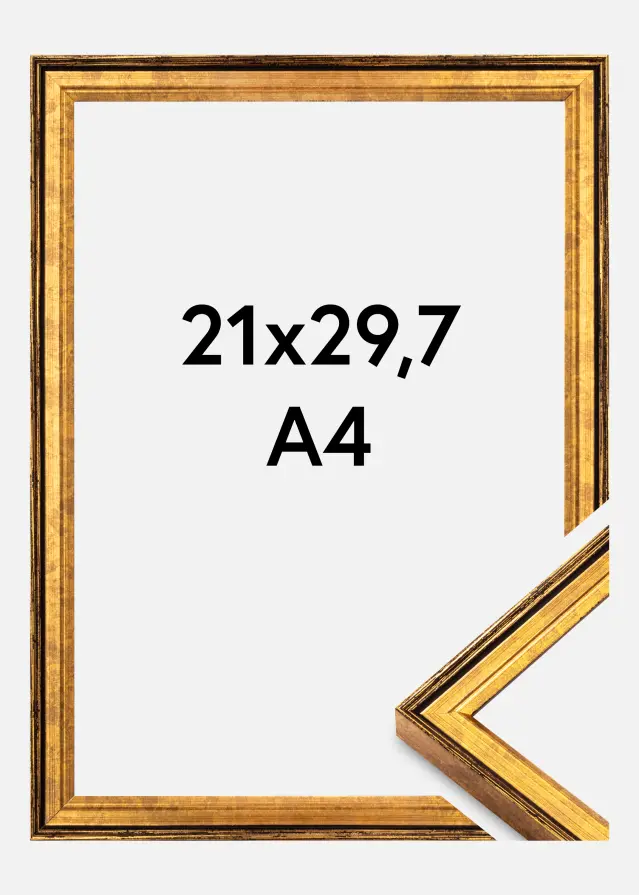 Jämtlands Ramfabrik Rahmen Ringa Acrylglas Gold 21x29,7 cm (A4)