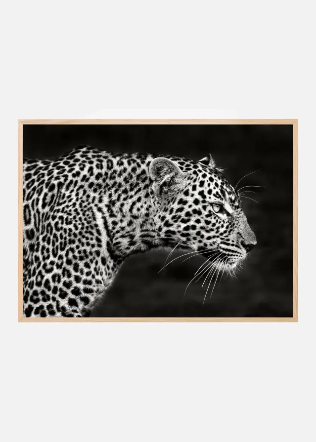 Bildverkstad Leopard Close Up Poster