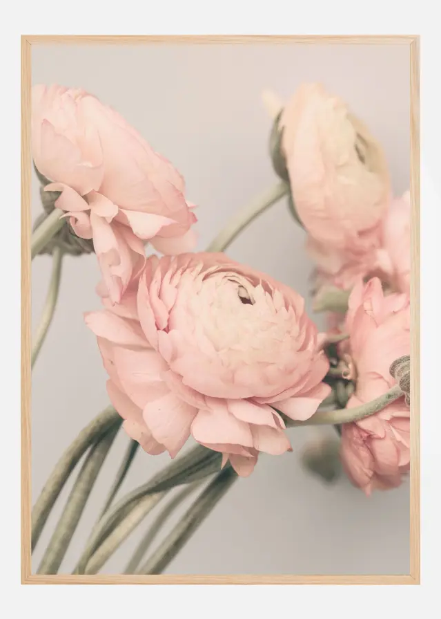 Bildverkstad 1644 Poster