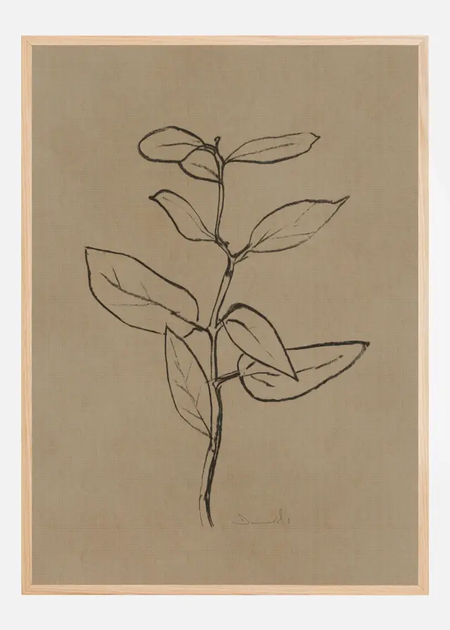 Bildverkstad Eucalyptus Sapling Poster