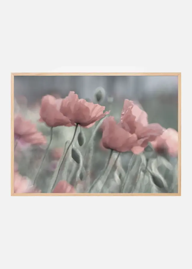 Bildverkstad Softly Poster