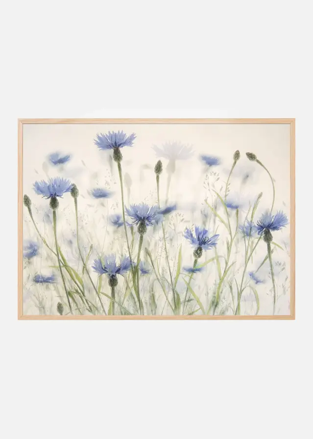 Bildverkstad Cornflowers Poster