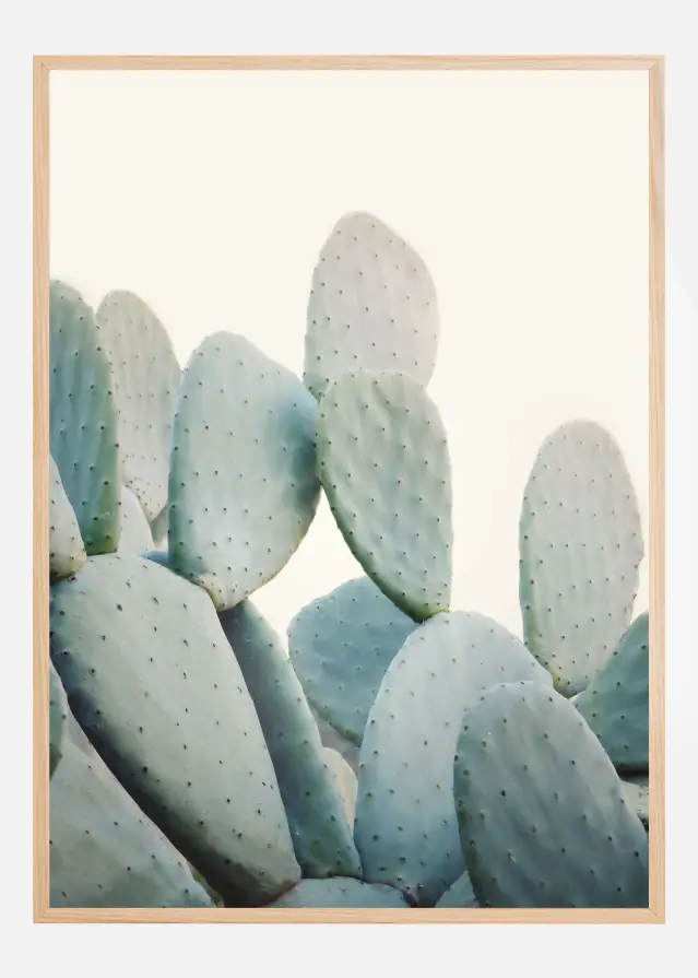 Bildverkstad Pastel Cacti Poster
