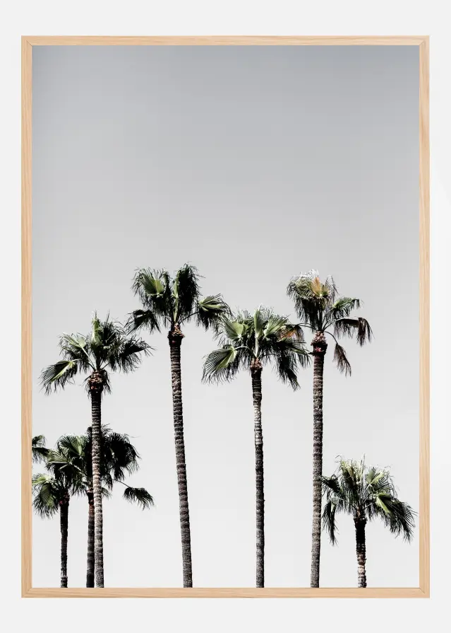 Bildverkstad Palm Trees Poster
