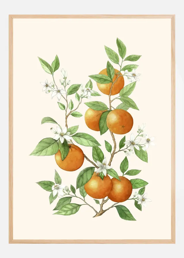 Bildverkstad Laranja - Orange Fruit Poster