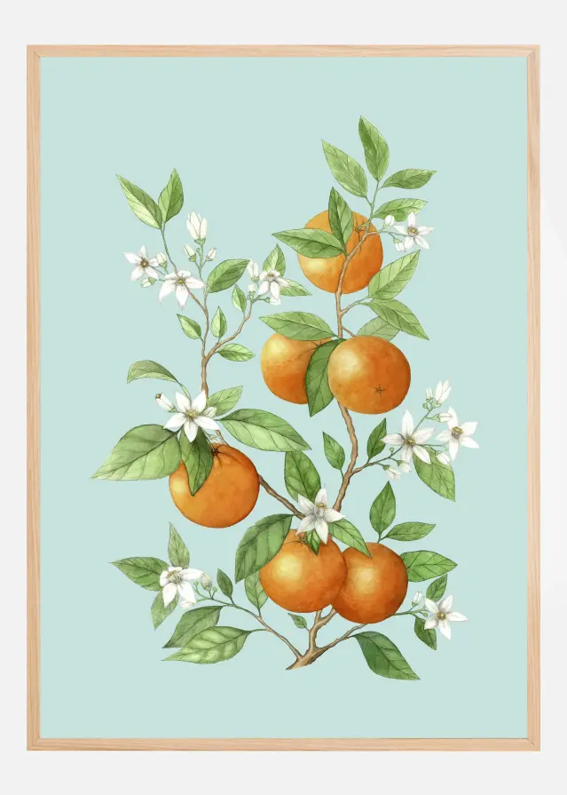 Bildverkstad Laranja - Orange Fruit Poster