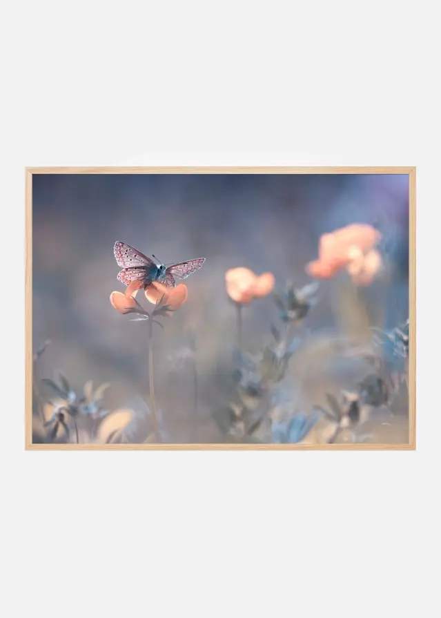 Bildverkstad The Lady of Lothlorien Poster