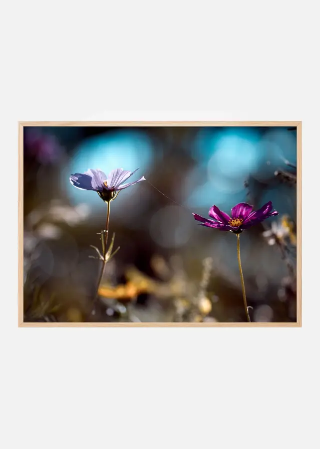 Bildverkstad Le lien Poster