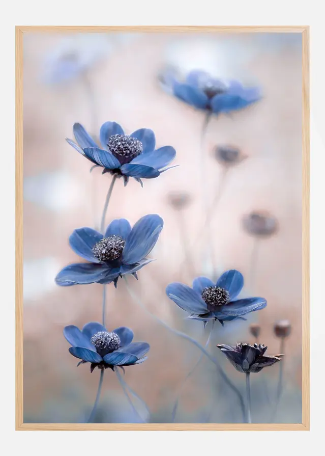 Bildverkstad Cosmos blue Poster