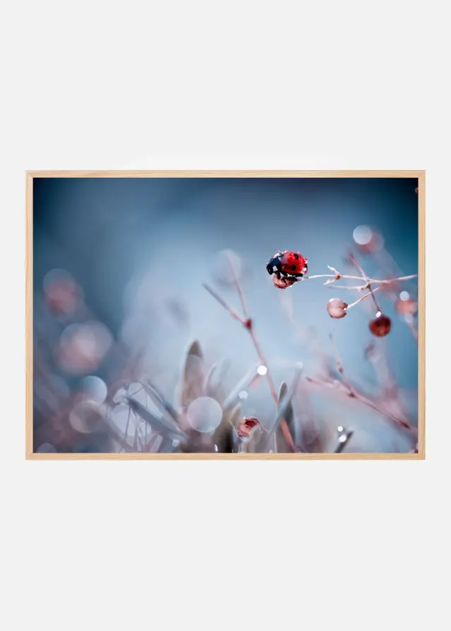 Bildverkstad High Diving Poster