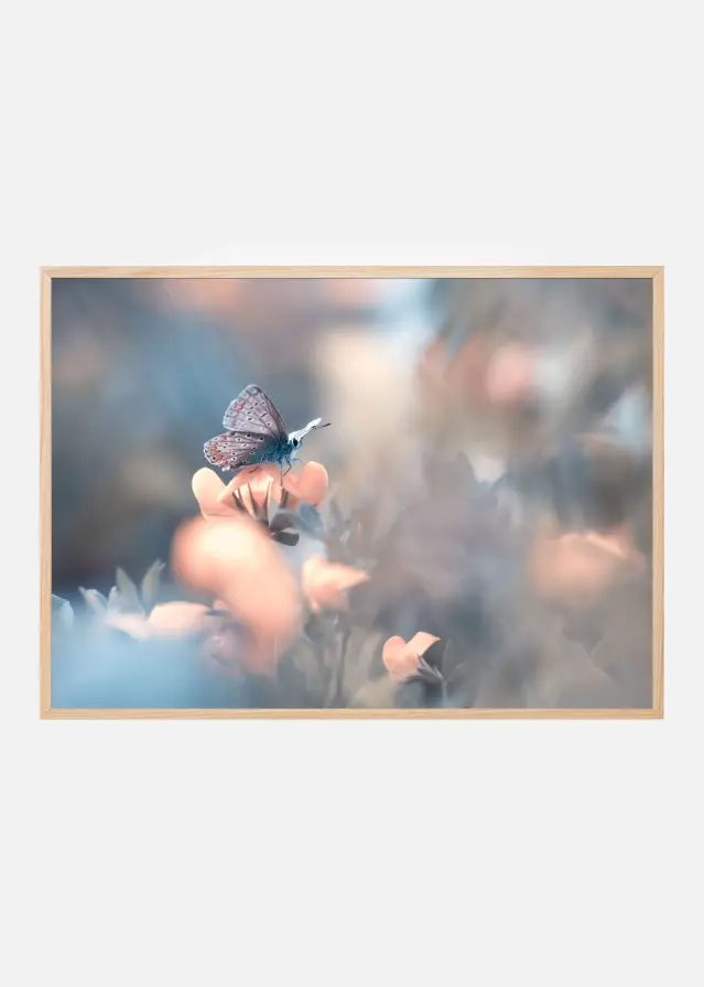 Bildverkstad Parmi les dakinis Poster