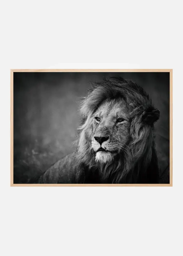 Bildverkstad Regal Poster