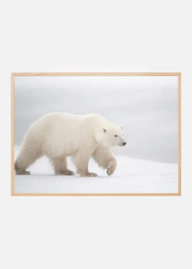 Bildverkstad White Poster