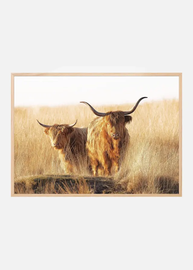 Bildverkstad Young and old Highlander Poster