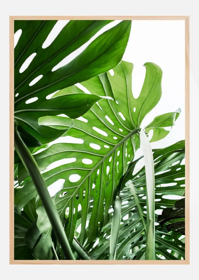 Bildverkstad Jungle Poster