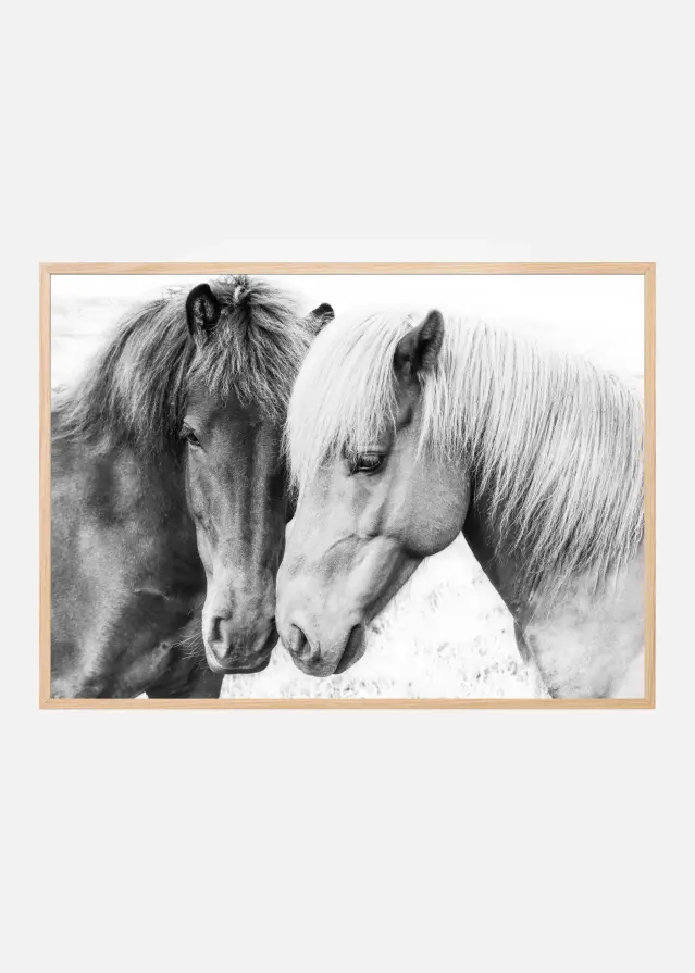 Bildverkstad Horse Love Poster