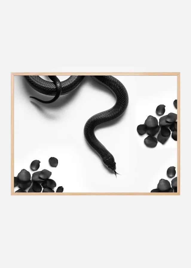 Bildverkstad Black Snake Roam Poster