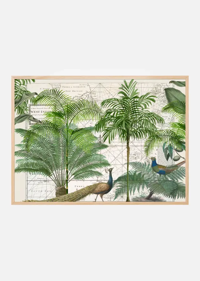 Bildverkstad Tropical Empire No6 Poster
