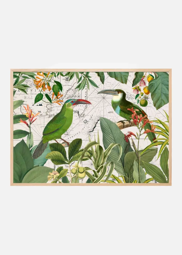 Bildverkstad Parrots Nostalgic Journey 3 Poster